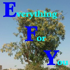 Everything for you