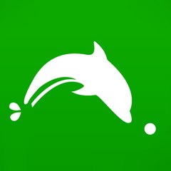 Dolphin Movie
