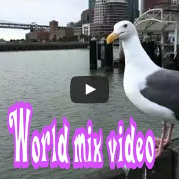World Mix video