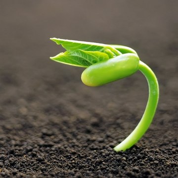 Agriculture machinery