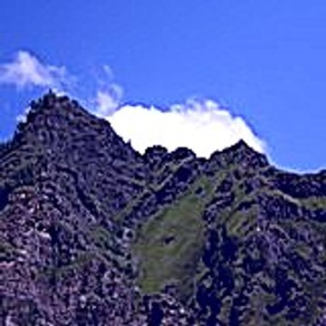 Fucoxutat