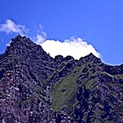 Fucoxutat