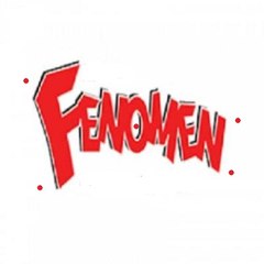 Fenomen Videolar