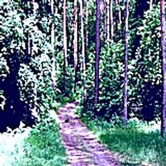 Kristenrutter60
