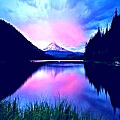 Jeffreybener54