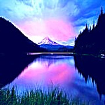 Jeffreybener54