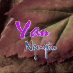 YanNguyen