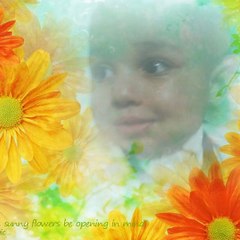 belle music