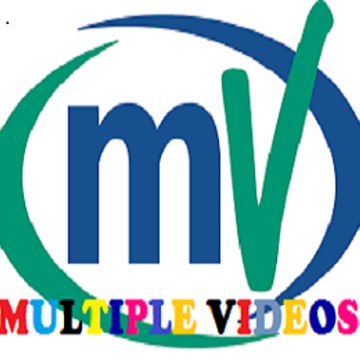 Multiple Videos2