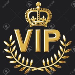 Radio V.I.P. PLATINE