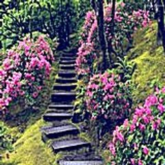 Cathleenhebbard50