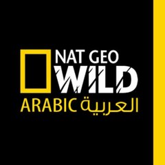 GEO ARABIC