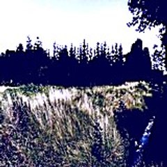 Robertdyke84
