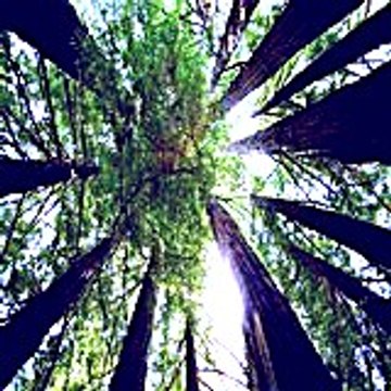 Nicholashebblethwaite14