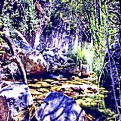 Teresaroxburgh67