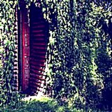 Marjorieprout44
