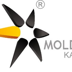 Mold kalıp