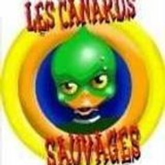 Les Canards Sauvages lcs91