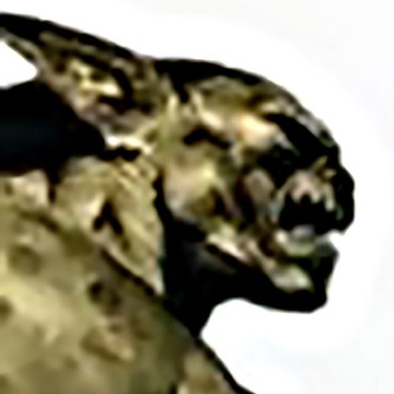Ripsonar News