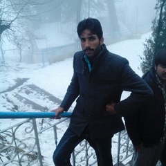 Davilmahi555