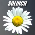 solinch