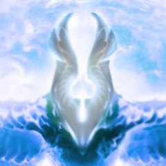 Finngon