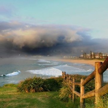 Emmittfrancesco 7448