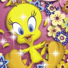 Waqas Mahmood
