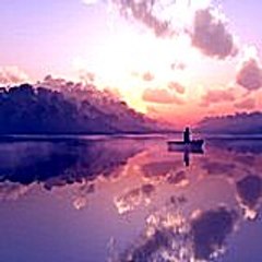 Louissparks88
