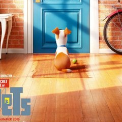 The Secret Life of Pets (2016)