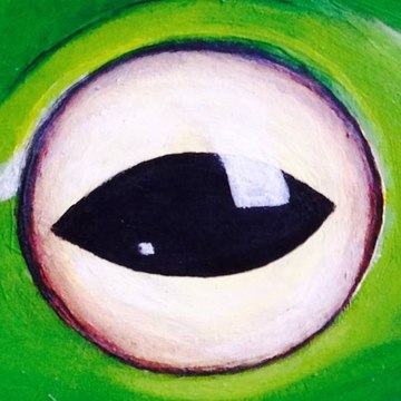Timelapse Art