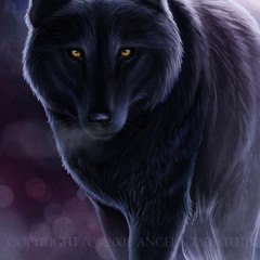 Utah Wolf Productions