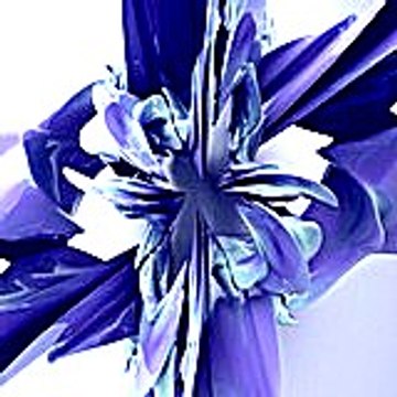 Barbararoach27