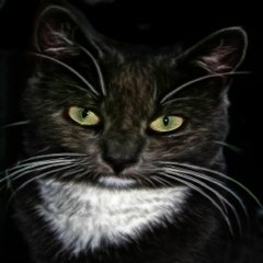 《찜알바》추천!돈많이버는알바,창원고수입알바,나이트알바,분당남자알바,주말아르바이트