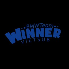 BMWTEAM