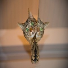 《찜알바》추천!호프집알바,전주밤알바,남성알바,울산알바,알바나라