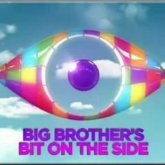 Big Brother's Bit on the Side