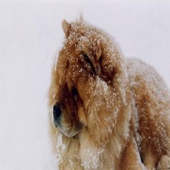 《찜알바》추천!악녀알바,강북알바,여알바,청주룸알바,주말알바