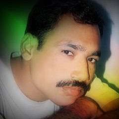 Tahir Shani