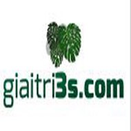 giaitri3s.com