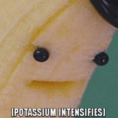 abeastmuffin