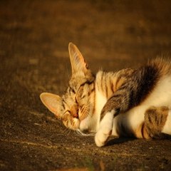《찜알바》추천!오전알바,인천알바,일급알바,일산알바,19알바