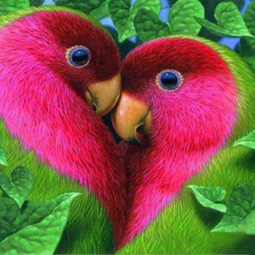 Ƹ̵̡Ӝ̵̨̄Ʒ Super ♡ Videos Ƹ̵̡Ӝ̵̨̄Ʒ