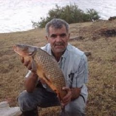 Citak