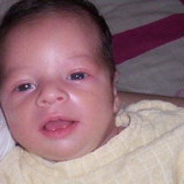 Louka