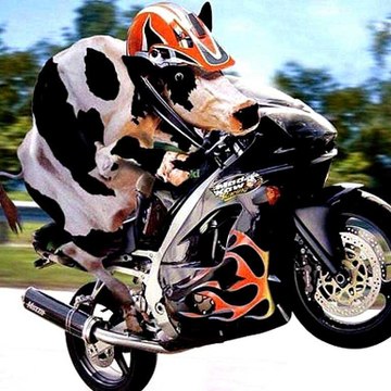 Funny videos Full Entertainment Chennel