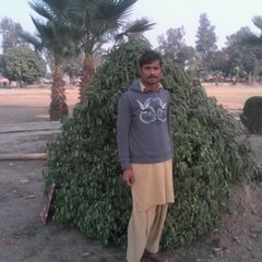 khalil bhatti
