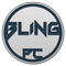 Blinger Pc