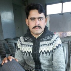 Mudassir Anjum