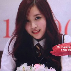 minari0024